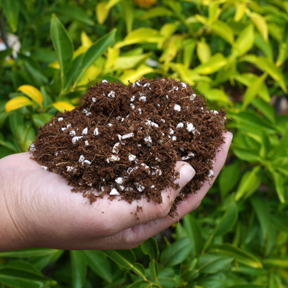 Coco Coir Perlite