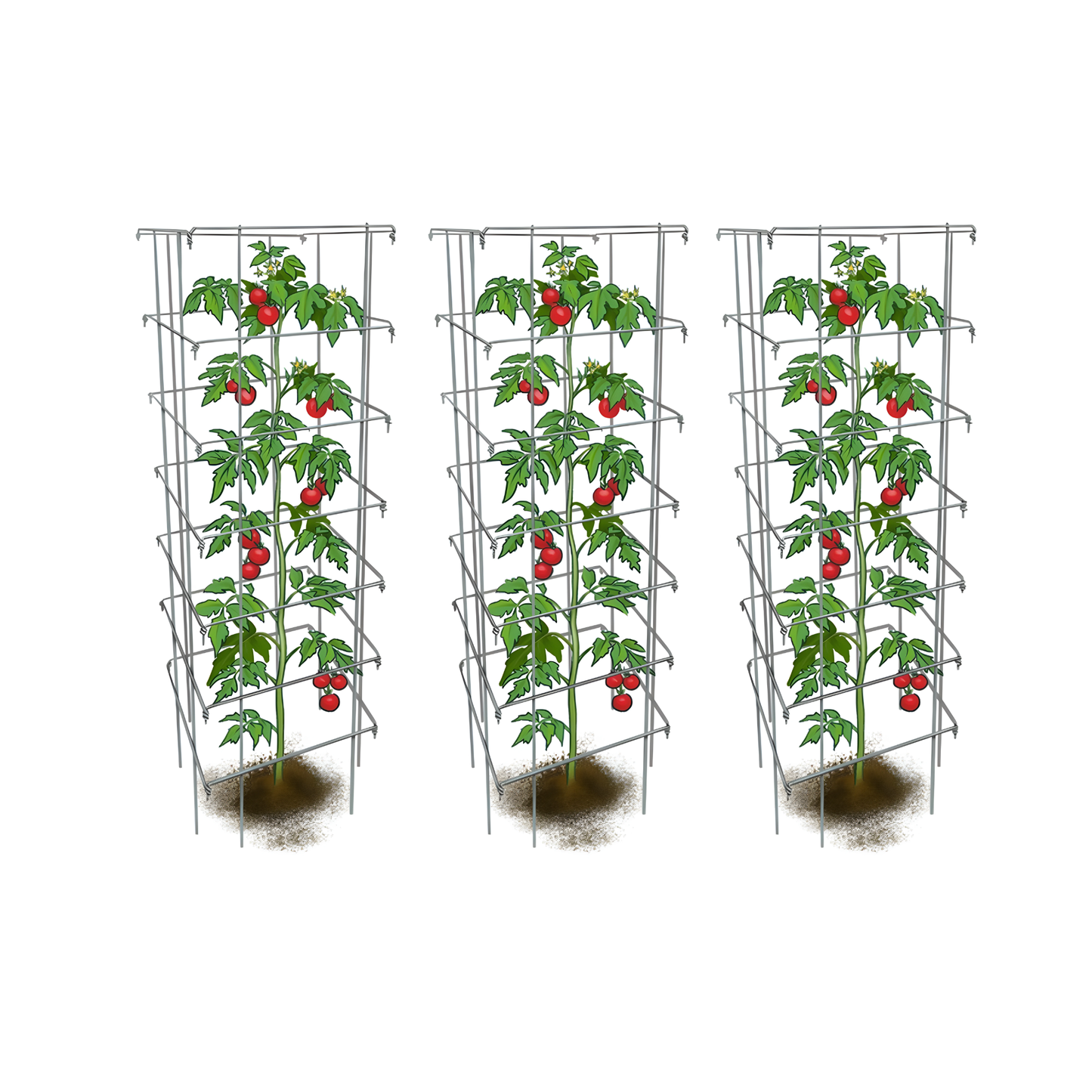Tomato Cages