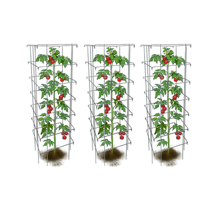 Tomato Cages