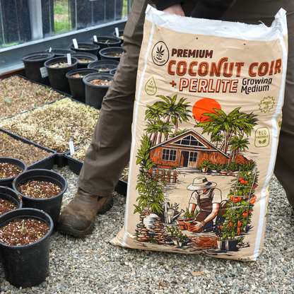 Coco Coir Perlite