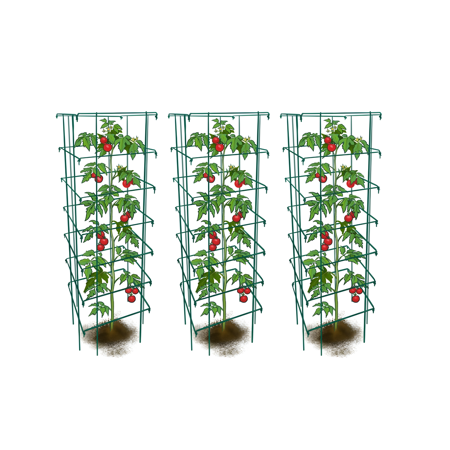 Tomato Cages