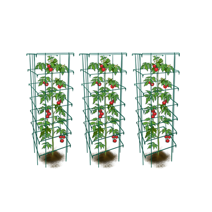 Tomato Cages