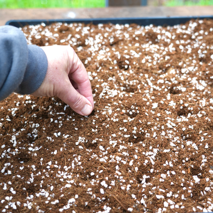 Coco Coir Perlite