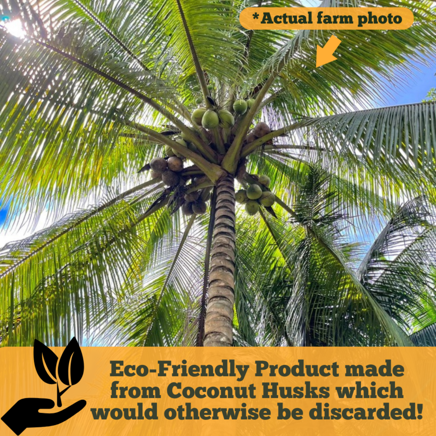 Coco Coir Perlite
